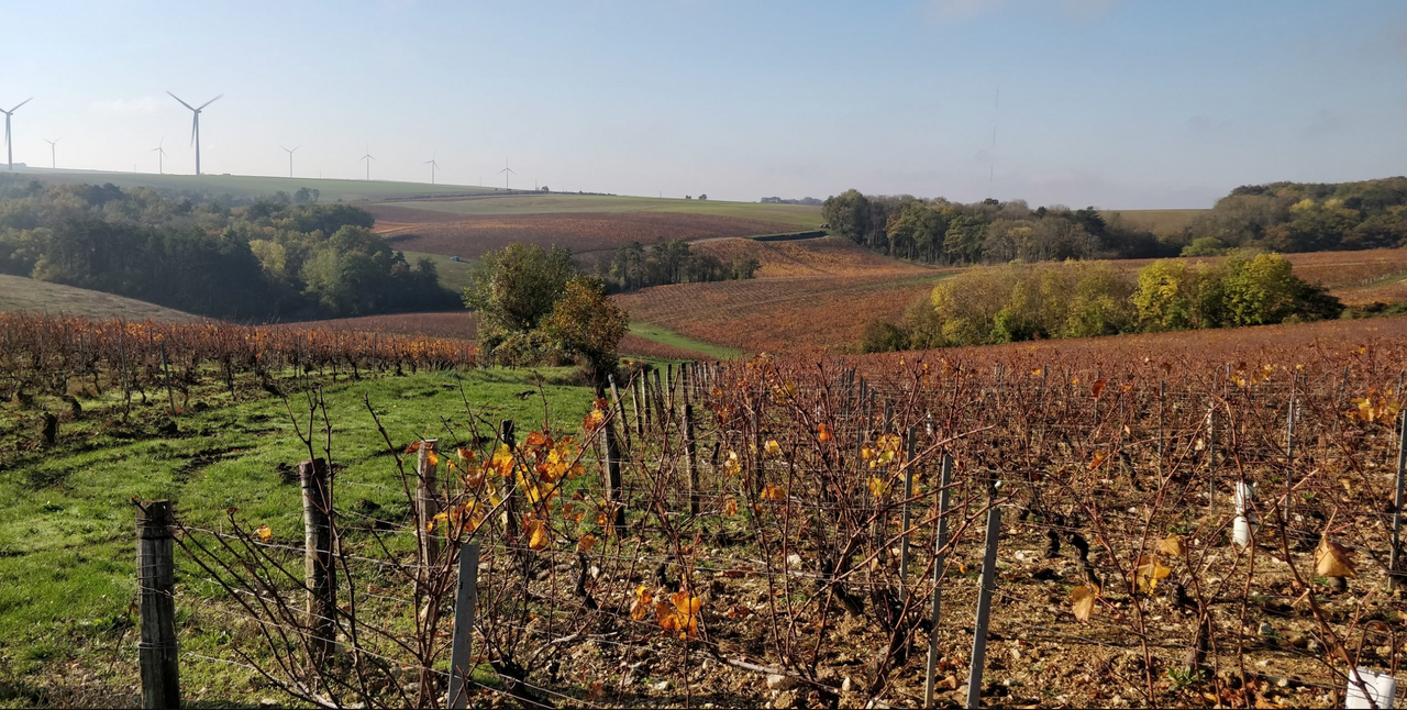 Chablis Cairn 2023