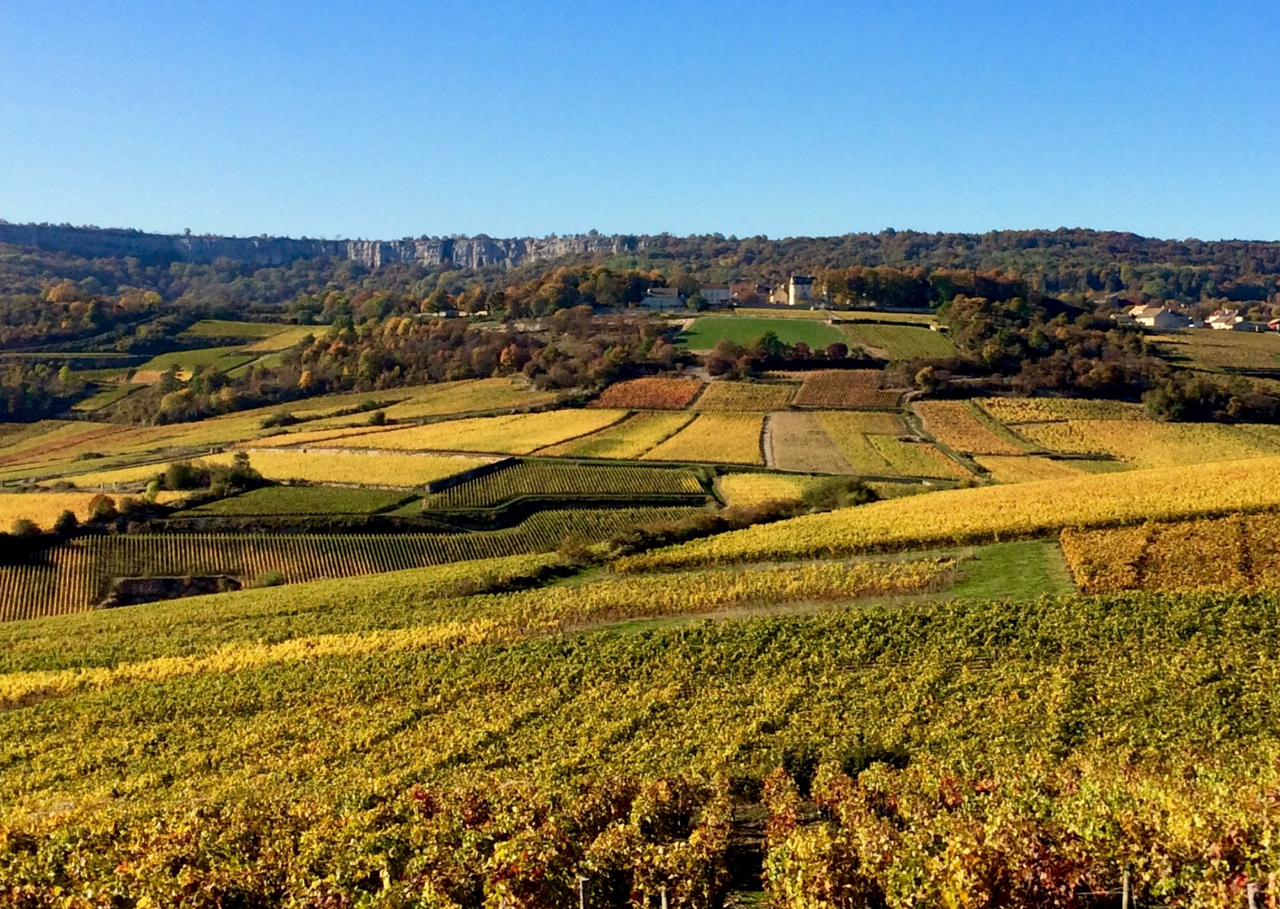 La Combe Bazin Saint-Romain 2022