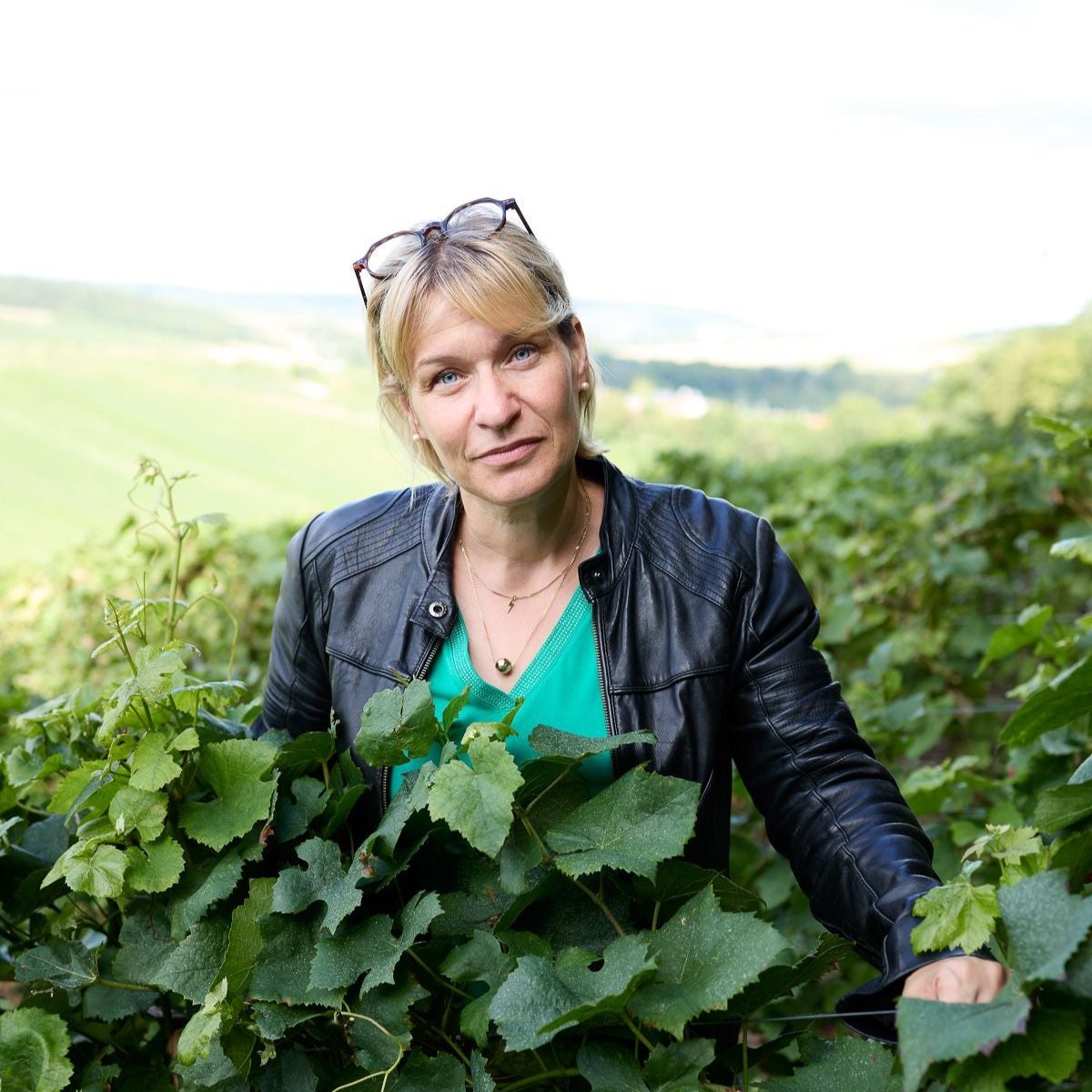 J't'emmène au Vent Blanc de Noirs Premier Cru 2015