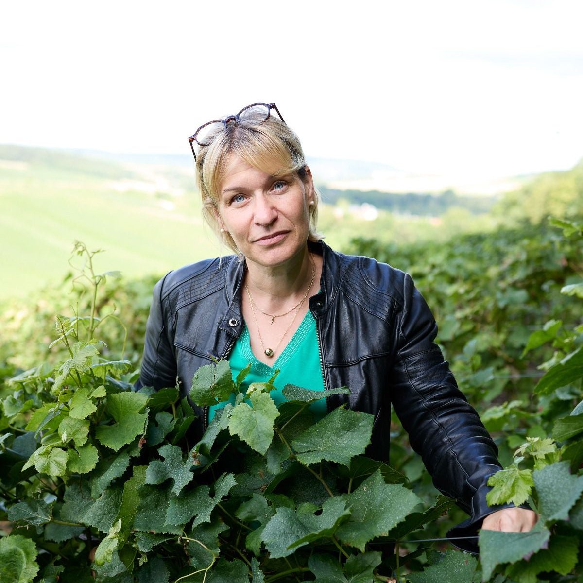 Fallait Pas Commencer Blanc de Blancs Premier Cru 2018