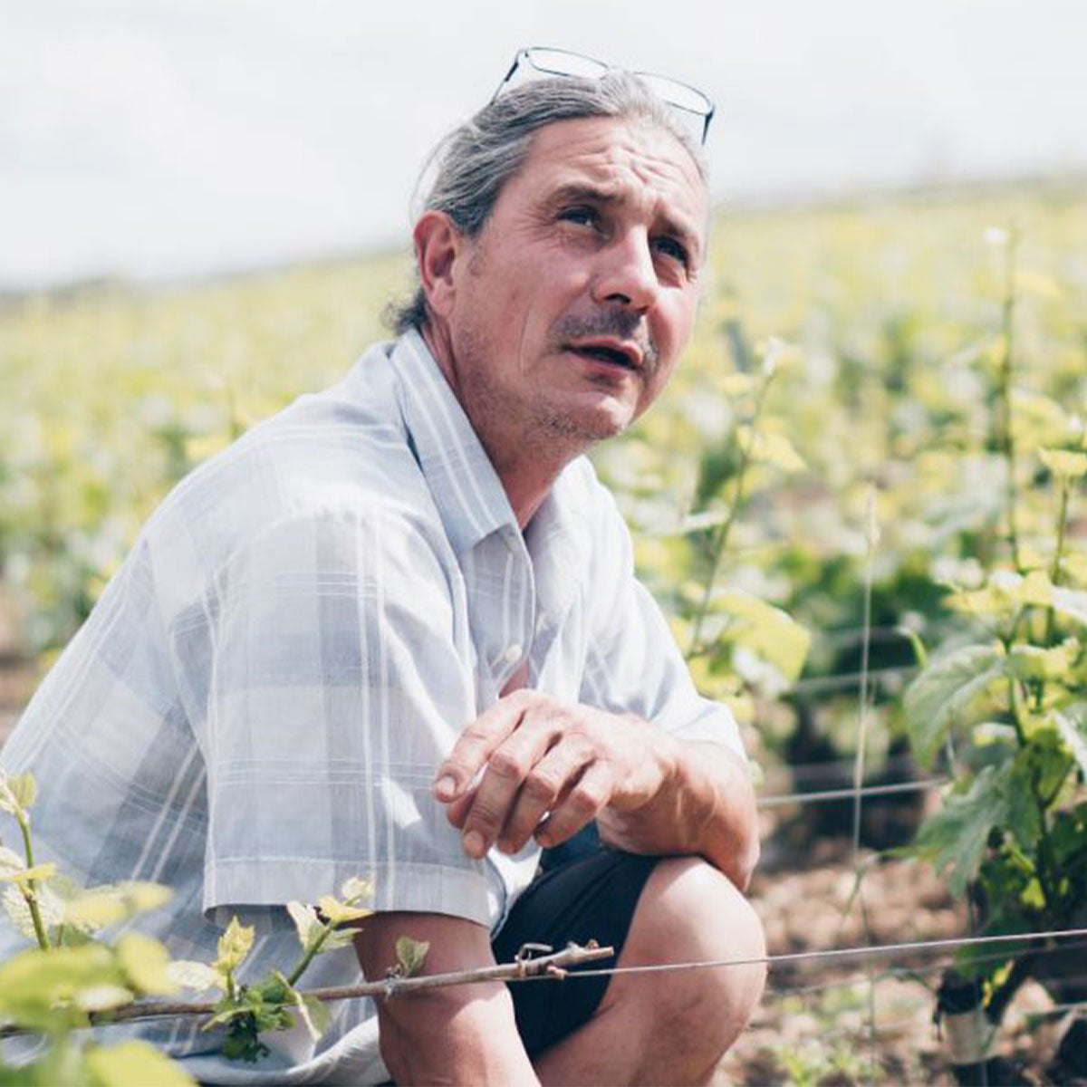 Come des Tallants Blanc de Noirs Brut Nature Magnum 2019