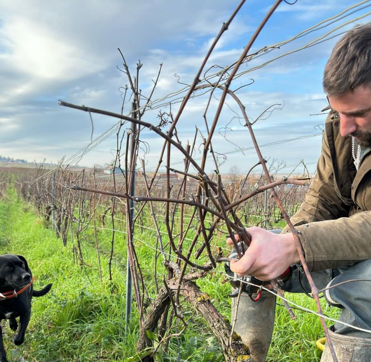 Le Flacon Céleste Blanc de Noirs Premier Cru Brut