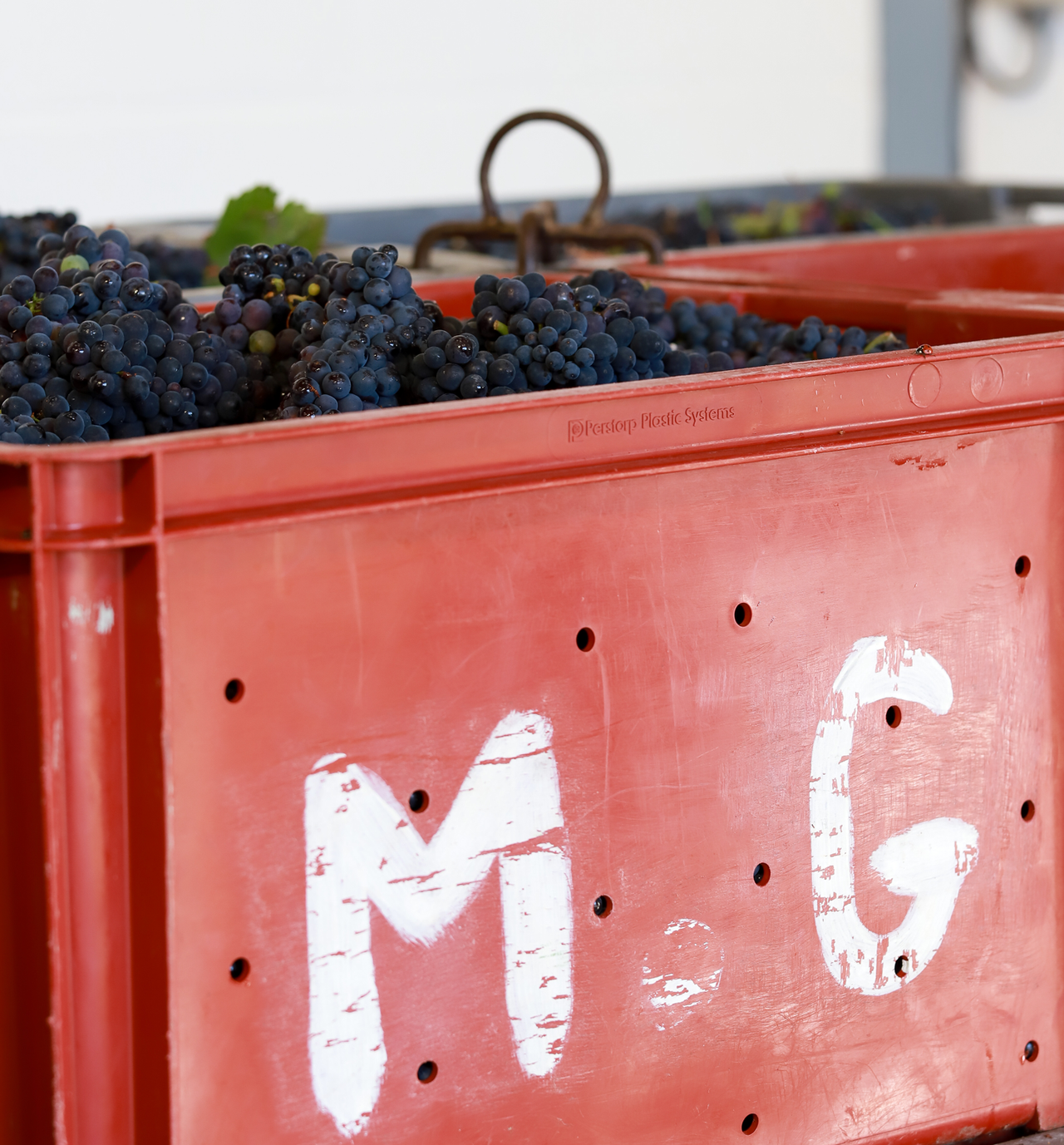 Pinot Meunier Exposé (2 bottles)
