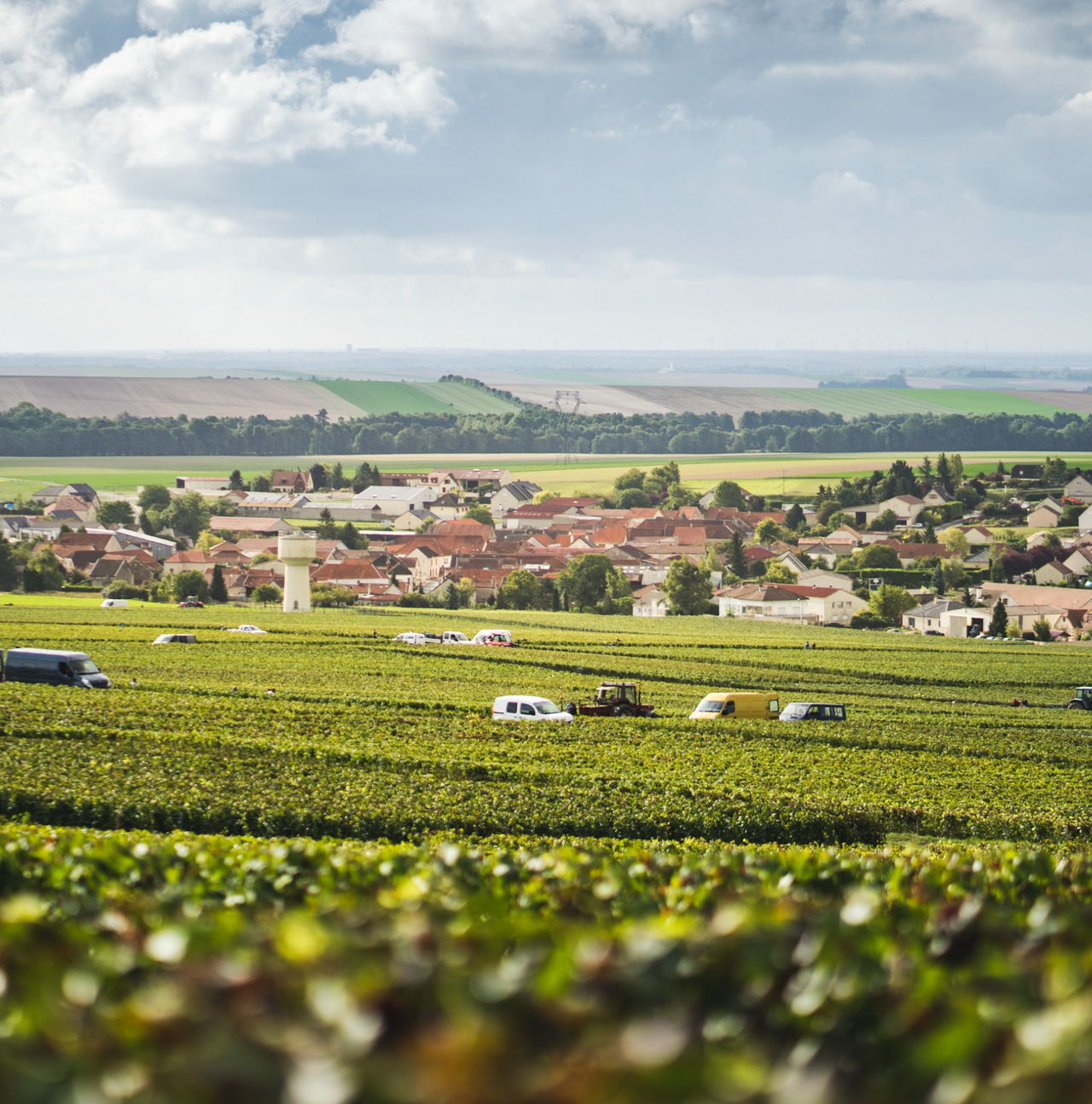 Rochet-Bocart Terroir Collection Package (2 bottles)