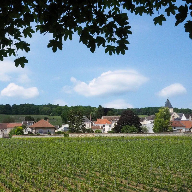 Mixolydien No. 45 Blanc de Blancs Grand Cru Brut Nature Magnum