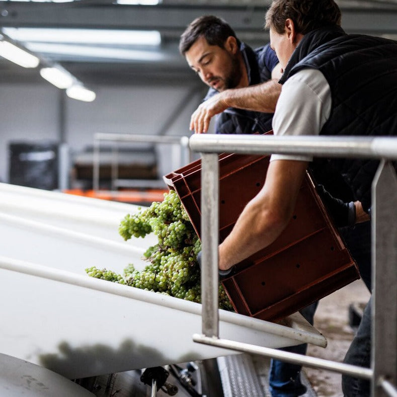 Les Rocheforts Terroir de Bisseuil Blanc de Blancs Premier Cru Extra Brut