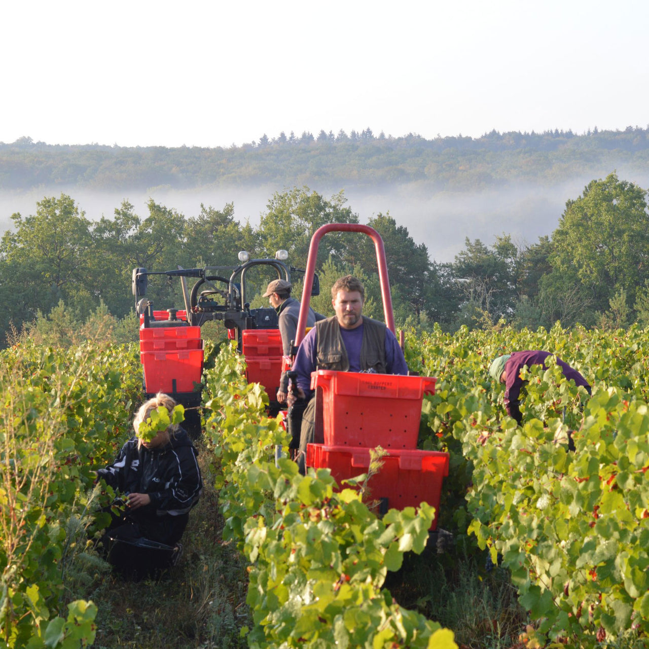 Martin Fontaine Blanc de Blancs Brut Nature 2018