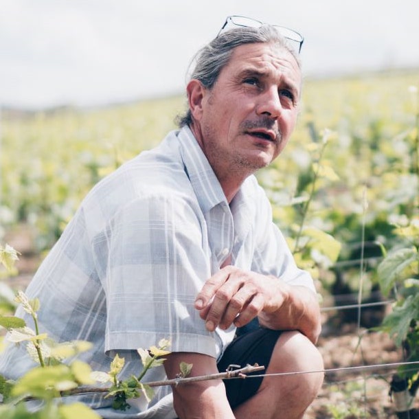 Champs Rayés Blanc de Blancs Brut Nature 2019