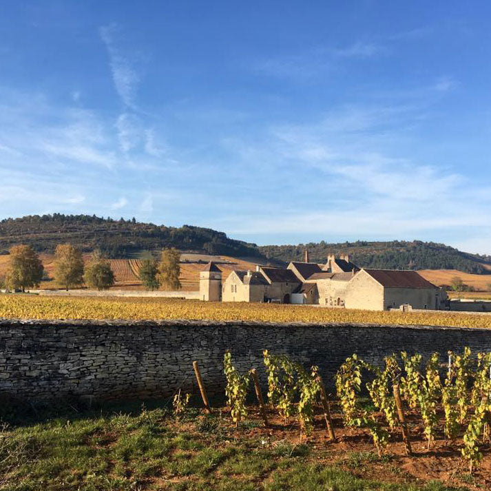 Rosé de Saignée Premier Cru Brut Nature