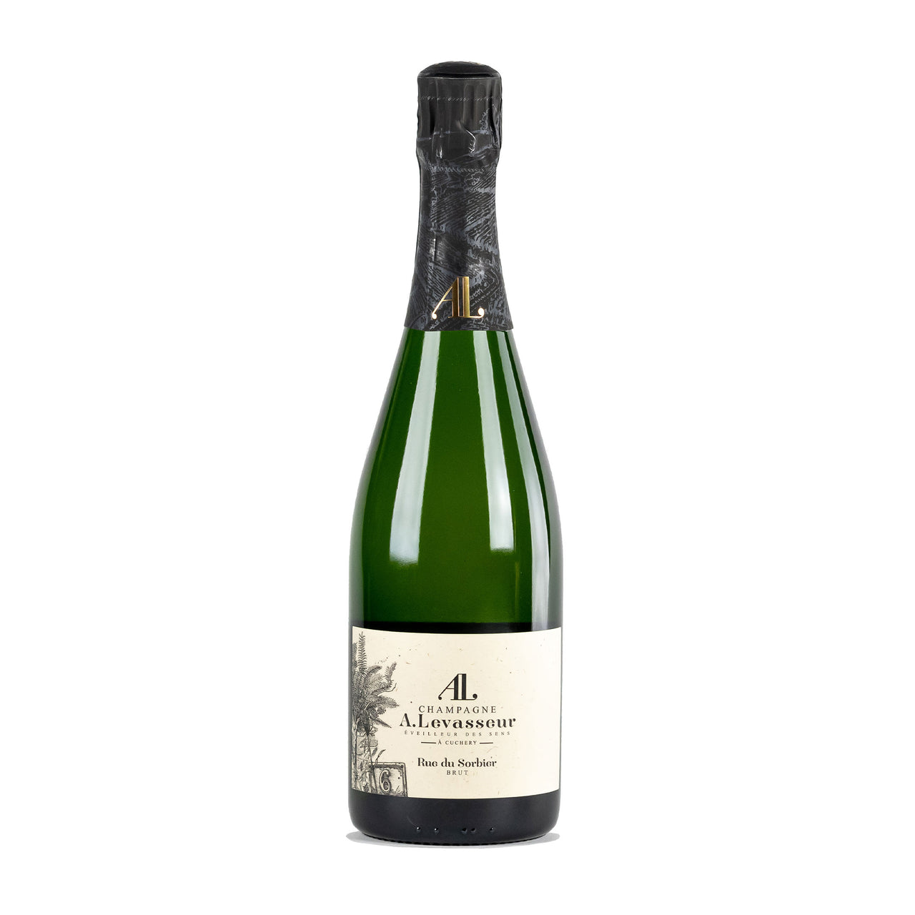 A. Levasseur Rue de Sorbier Brut