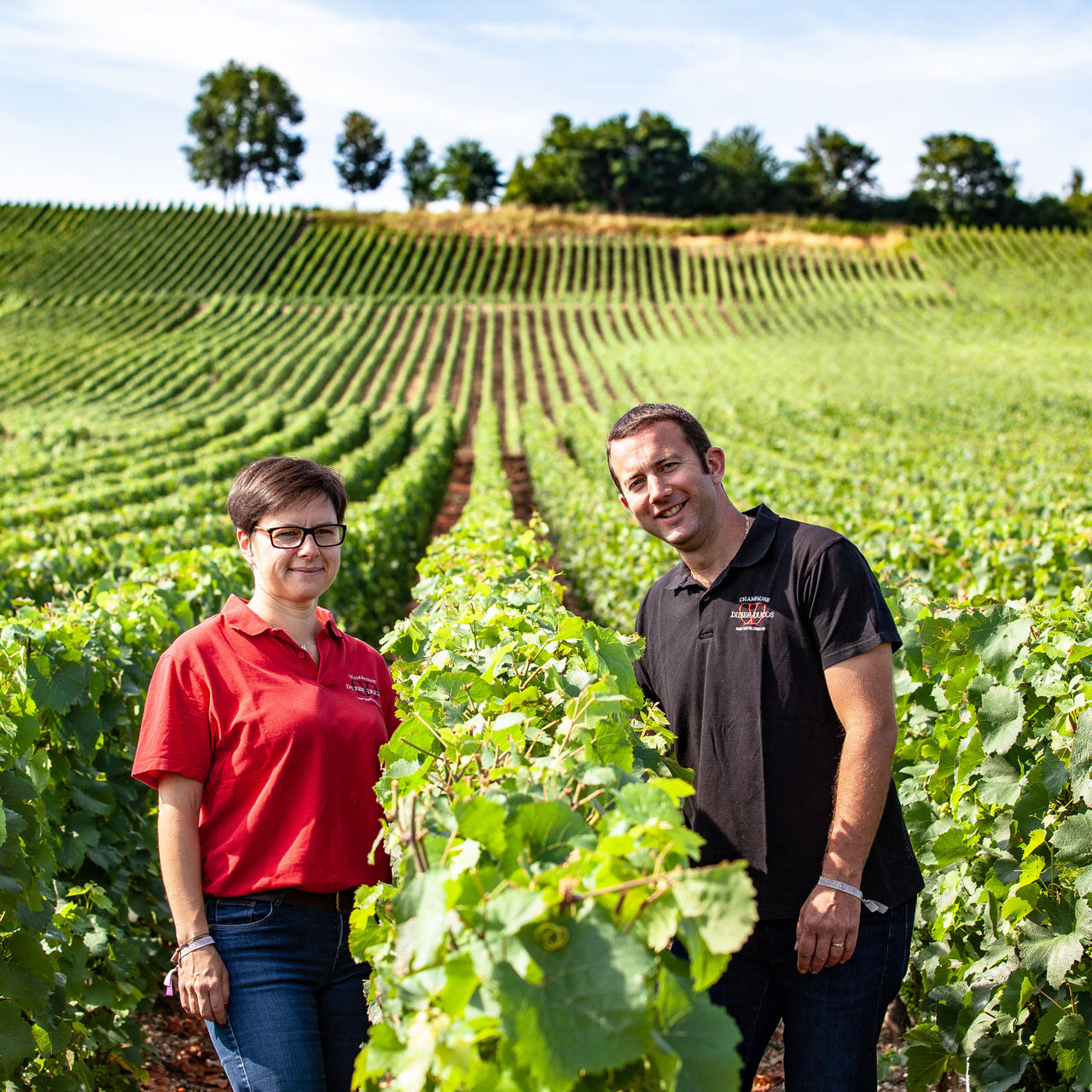 L'Ablutien Brut