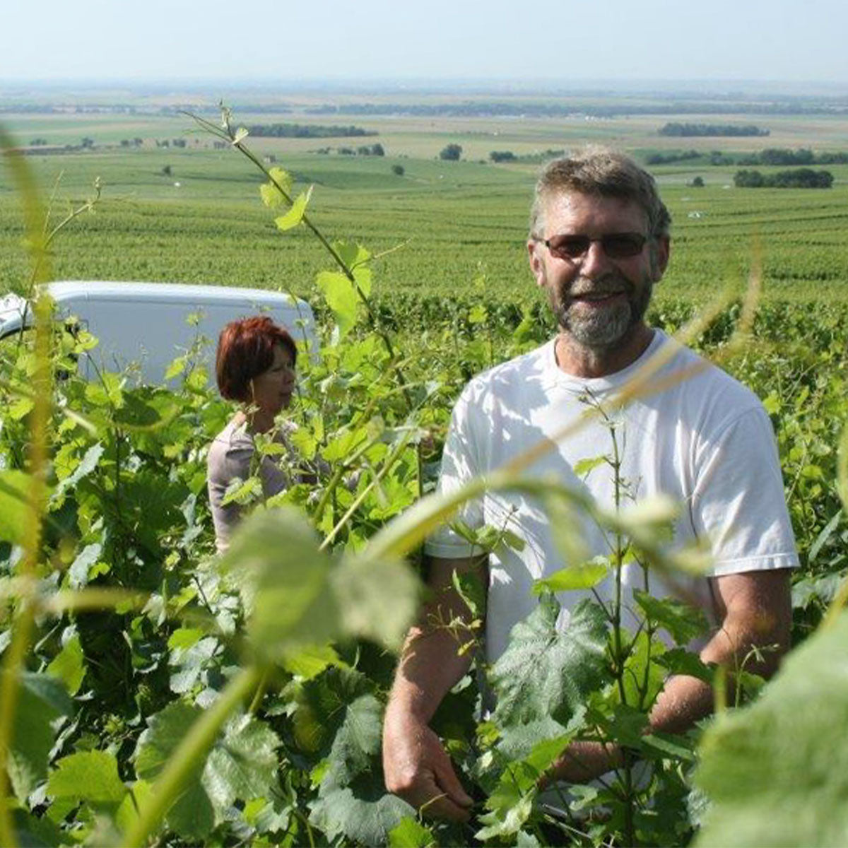 Rosé Premier Cru Brut