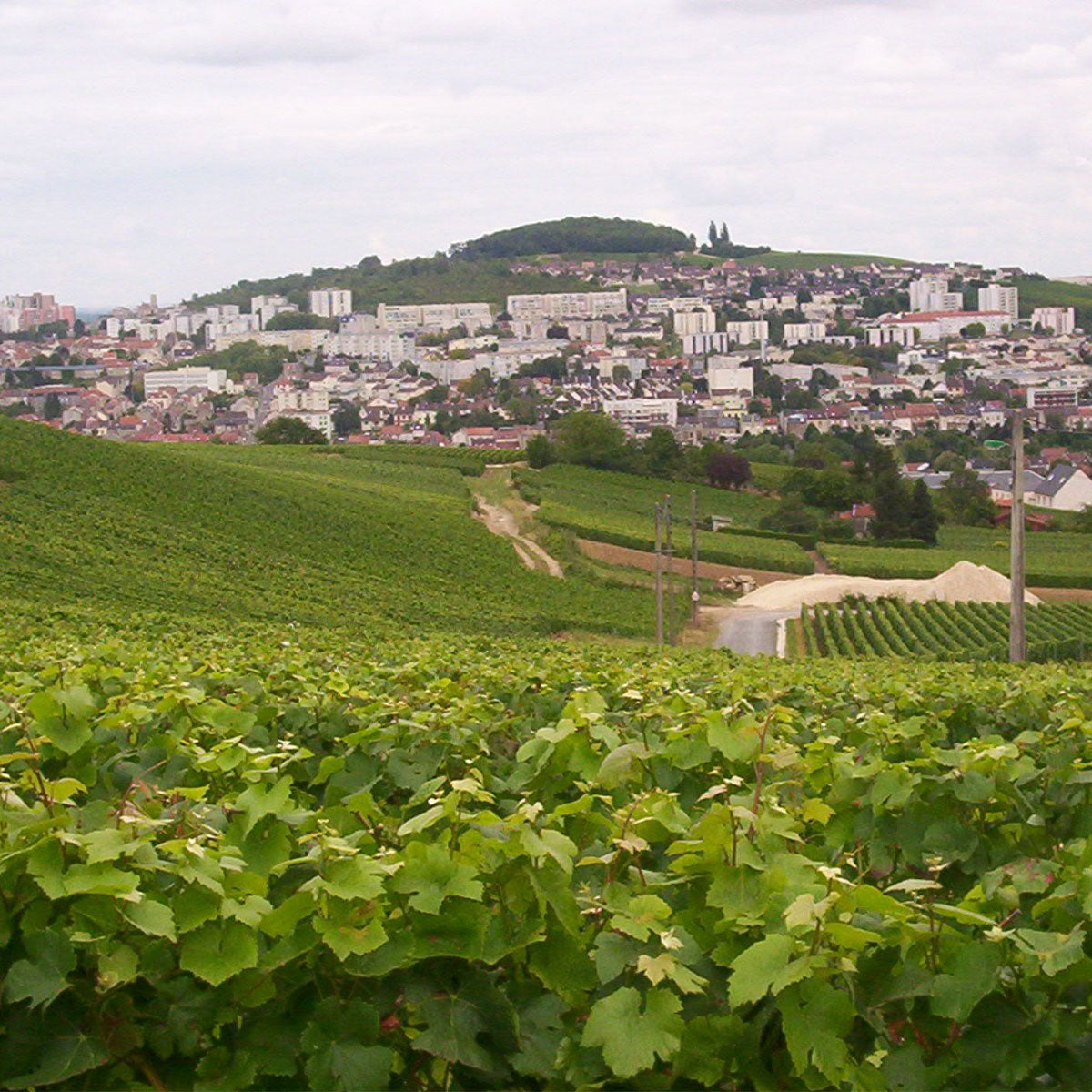 Blanc de Blancs Brut Grand Cru Half Bottle