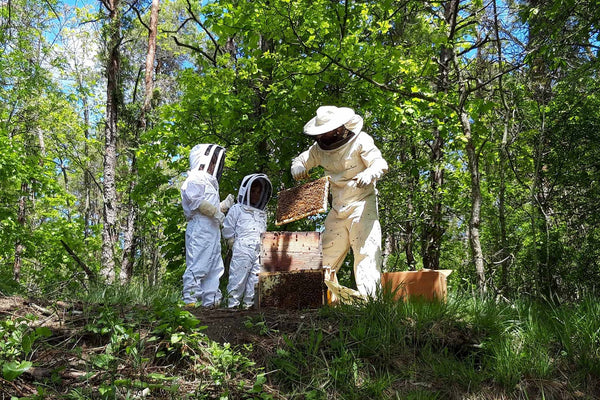 Biodiversity at Hervieux-Dumez
