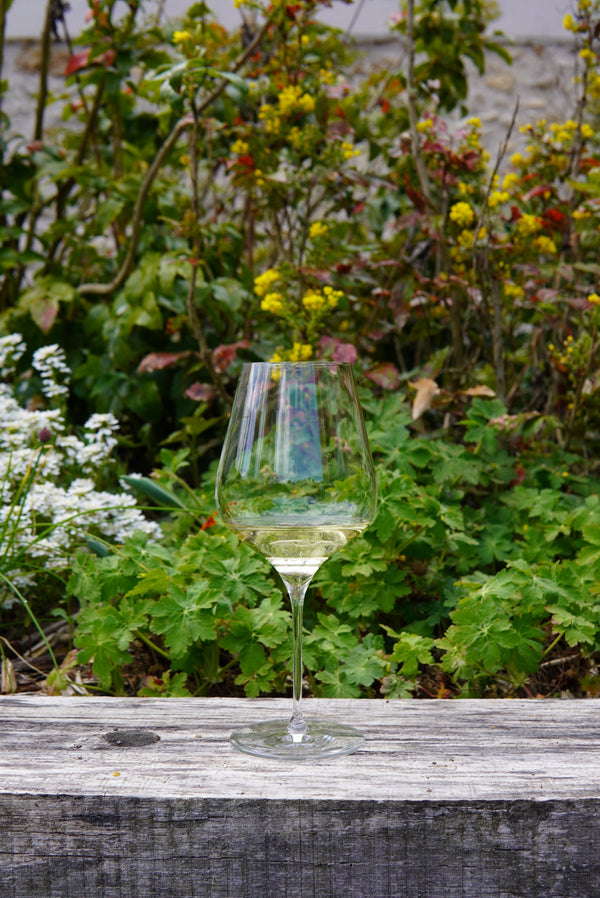 The Naked Truth About Brut Nature Champagne