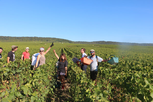 The Legacy of Grower Champagne