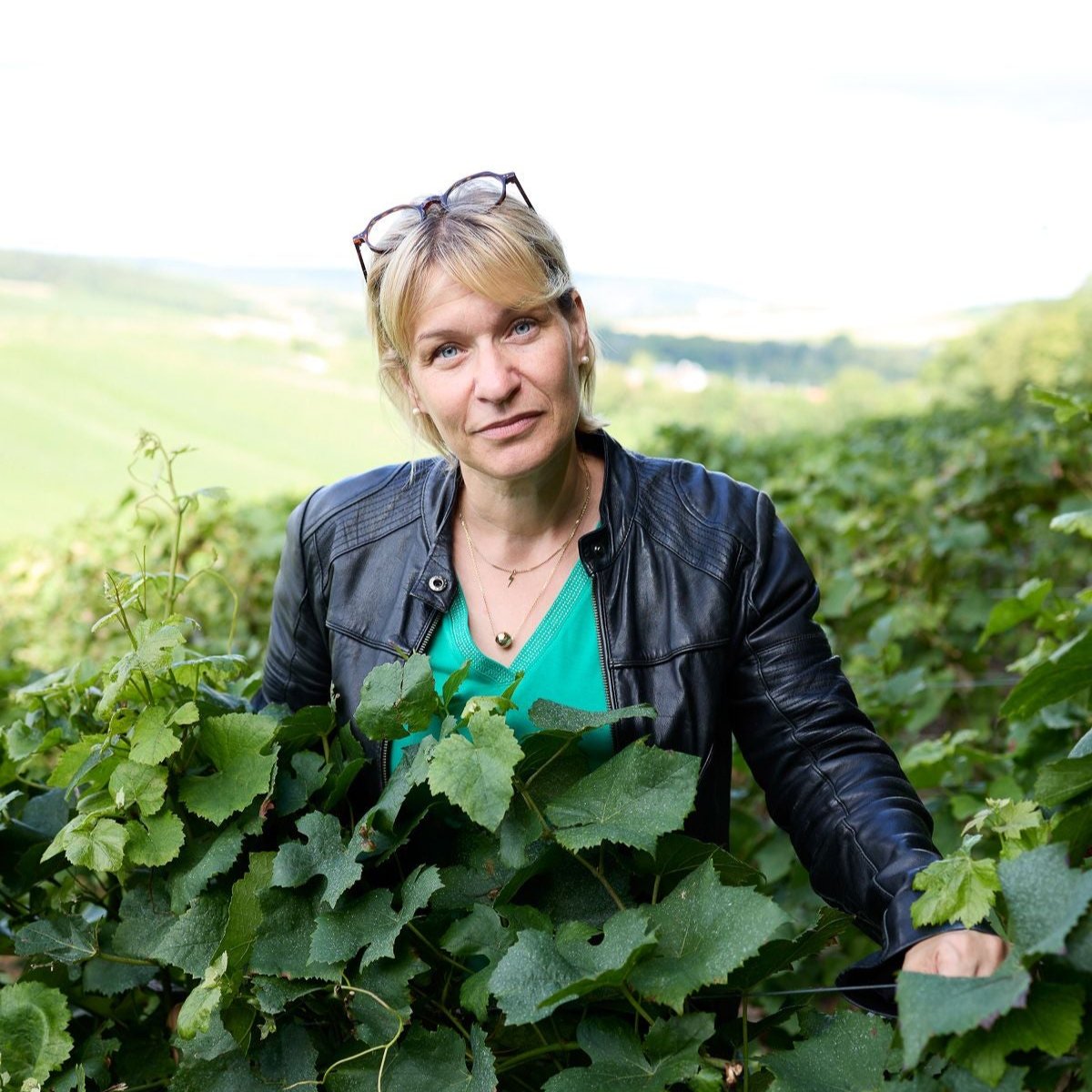 Les Sentiers Rosé Premier Cru 2017