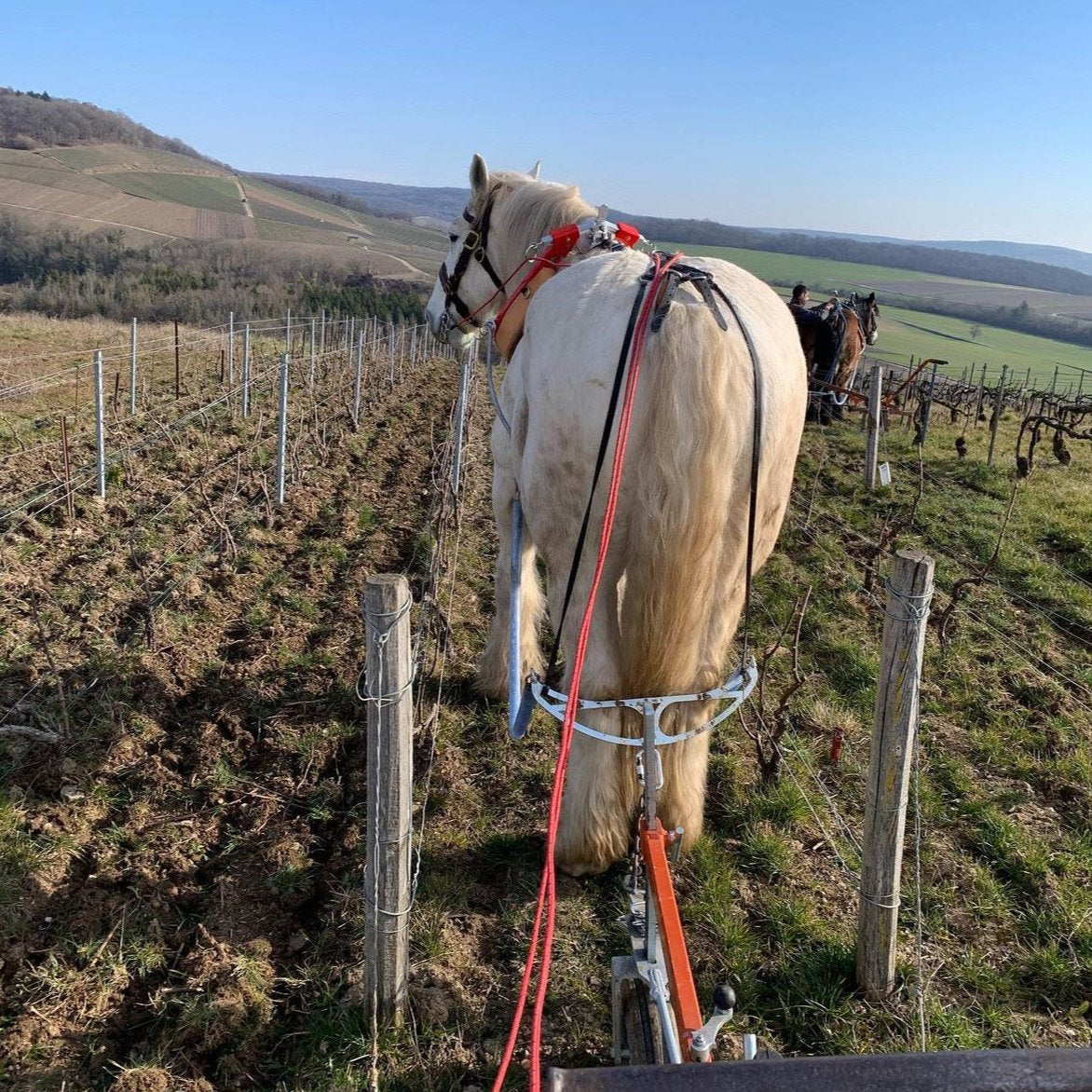 J't'emmène au Vent Blanc de Noirs Premier Cru 2018