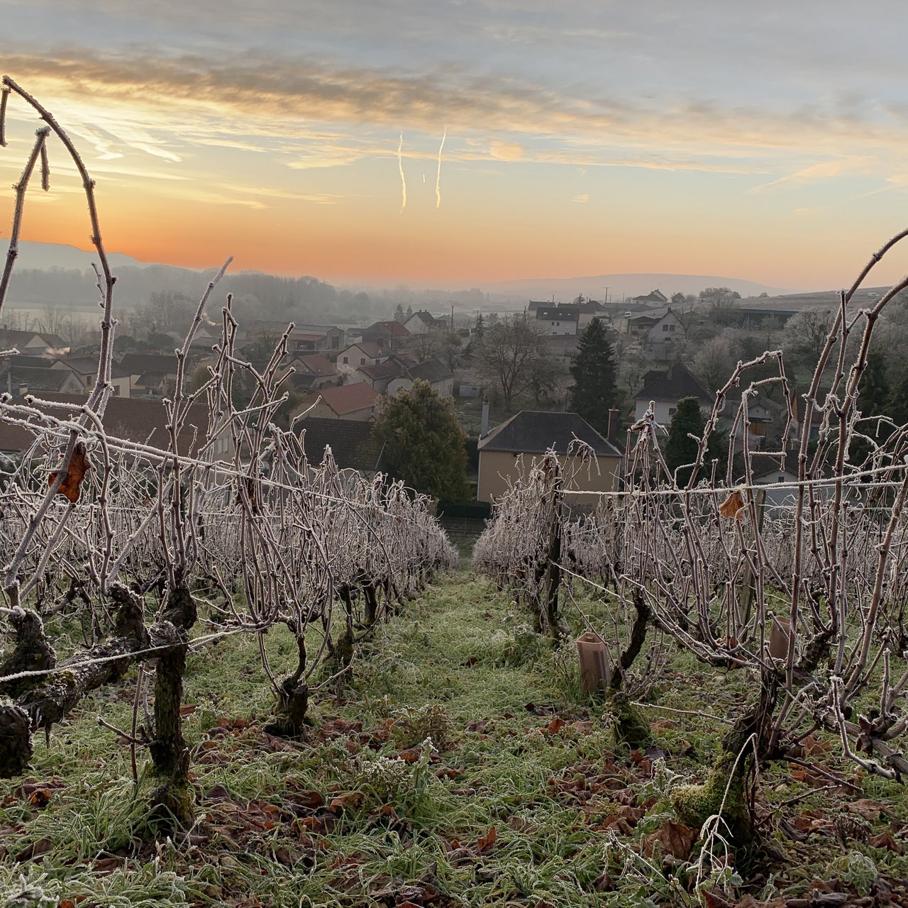 Champs Rayés Blanc de Blancs Brut Nature 2014