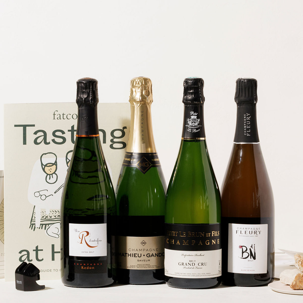 Regions of Champagne (4 bottles)