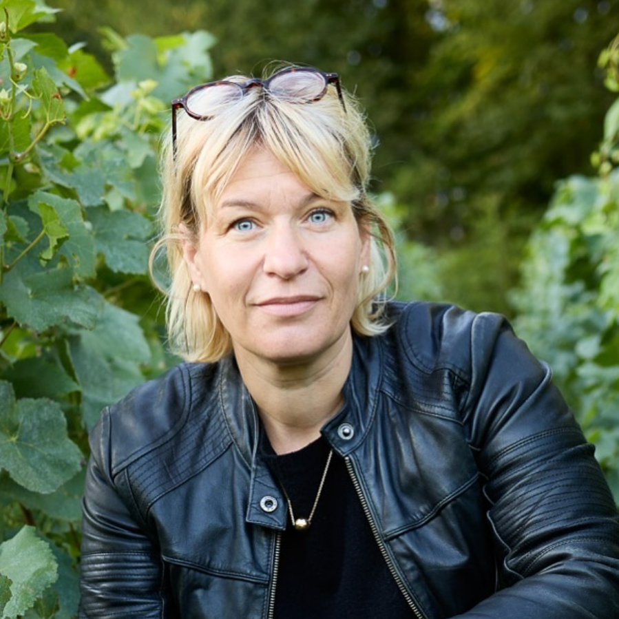 Les Sentiers Premier Cru Half Bottle